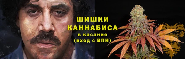 2c-b Бронницы