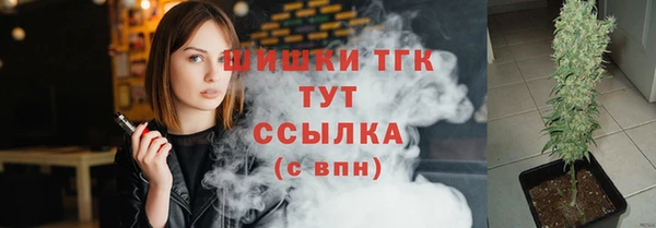 шишки Богородск