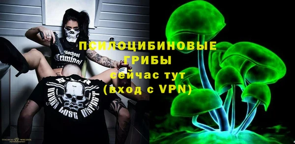 ALPHA PVP Богородицк