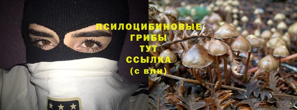 шишки Богородск