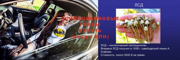 бутик Бородино