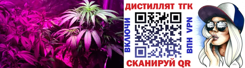 ТГК гашишное масло Кириллов