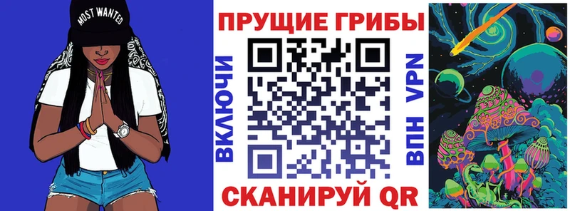 blacksprut ссылки  Кириллов  Псилоцибиновые грибы GOLDEN TEACHER 